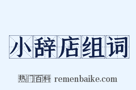 小辞店组词是什么意思的图片